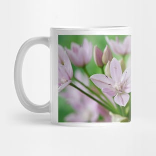 Allium unifolium  American onion Mug